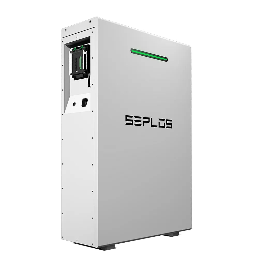 Seplos Mason 48V 16kWh Home Energy Storage Battery 51.2V 314Ah wall-mounted IP65 WIFI LiFePo4 Residential Solar ESS Solution