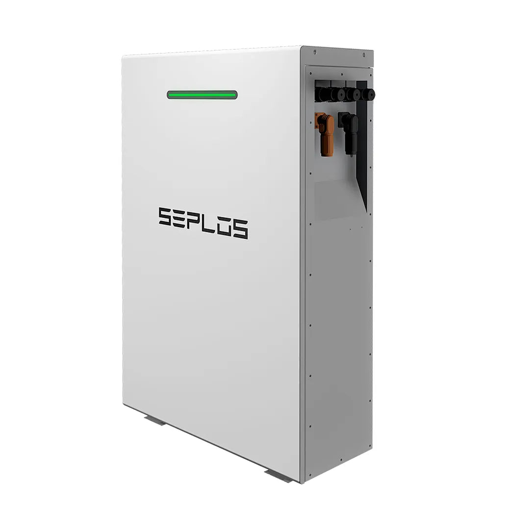 Seplos Mason 48V 16kWh Home Energy Storage Battery 51.2V 314Ah wall-mounted IP65 WIFI LiFePo4 Residential Solar ESS Solution